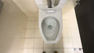 🚽 Bathroom Tour American Standard Toilets at the Alaska State Capitol Juneau AK [upl. by Bary]