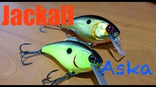 Jackall Aska Review  Underwater Footage [upl. by Richart514]