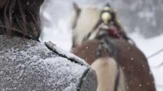 Winterwunderland Ramsau am Dachstein [upl. by Atinnor]