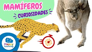 LOS ANIMALES MAMÍFEROS  CURIOSIDADES PARA NIÑOS  Happy Learning 🦁🐨🐘 mamíferos animales [upl. by Mccallum]