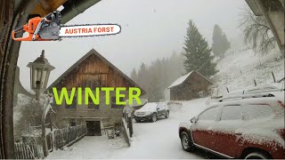 Wintereinbruch und Käfer in Zukunft Austria Forst real Talk [upl. by Yanffit]