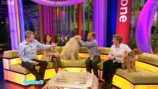 BBC Bloopers  Outtake TV  9042010 [upl. by Siderf]