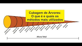 Cubagem de árvores  Princípios e métodos mais utilizados [upl. by Aubrey]