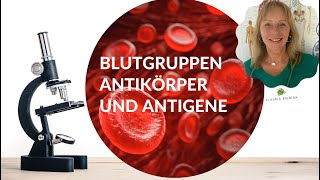 BlutgruppenAntikörper und Antigene Teil 1  Basiswissen [upl. by Stringer544]