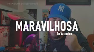 Maravilhosa  Zé Vaqueiro COVER [upl. by Sadoc]